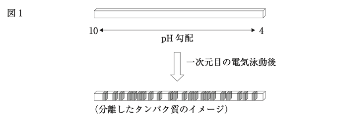 解説画像